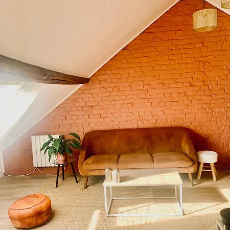 Chaleureuse Et Spacieuse Chambre, Sdb Privative Лилль