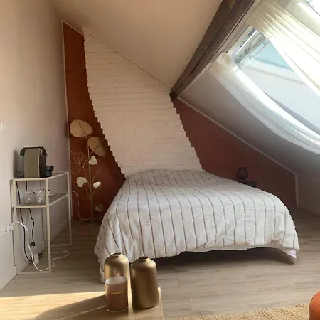 Chaleureuse Et Spacieuse Chambre, Sdb Privative Casa de hóspedes Lille