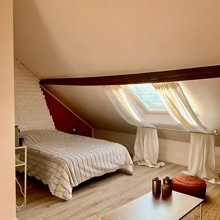 Chaleureuse Et Spacieuse Chambre, Sdb Privative 3* Лилль