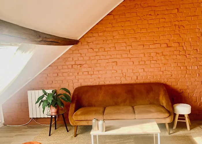 Chaleureuse Et Spacieuse Chambre, Sdb Privative Rijsel