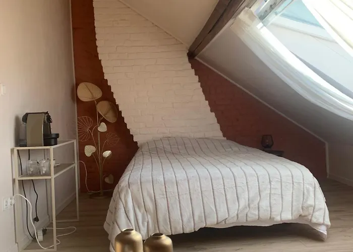 Chaleureuse Et Spacieuse Chambre, Sdb Privative Affittacamere Lilla