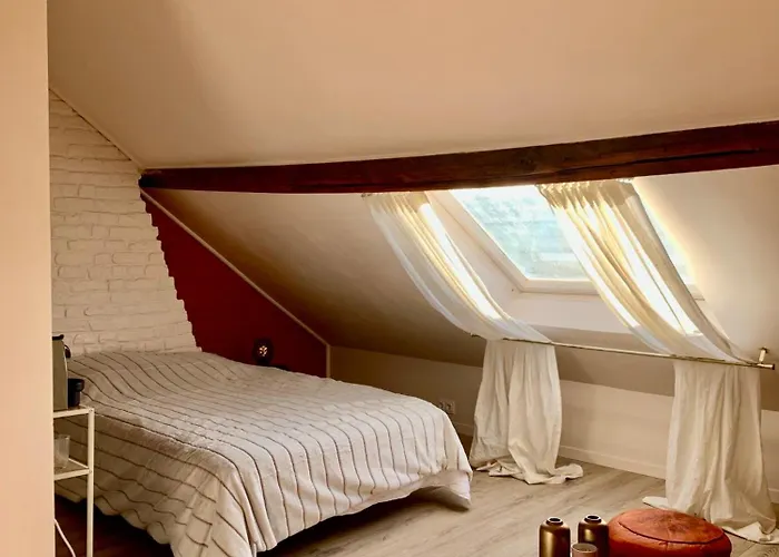 Chaleureuse Et Spacieuse Chambre, Sdb Privative 3* Lilla